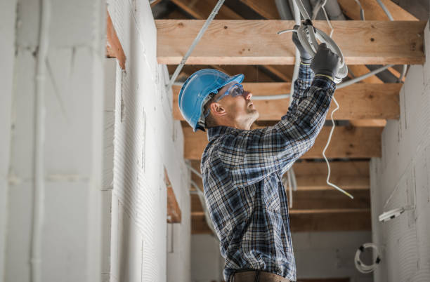 Best Local Electrician Companies  in Landrum, SC